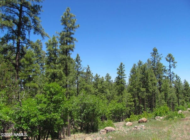 1039 Timbernook, Williams, AZ 86046