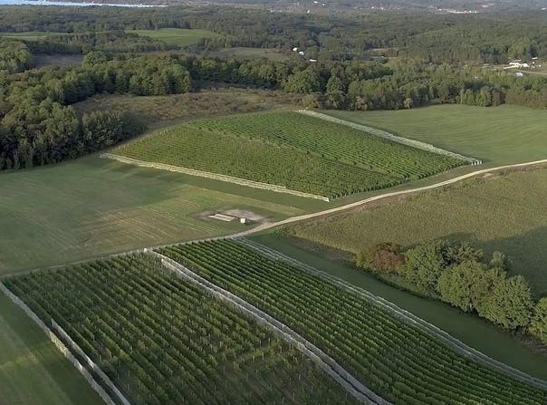 S French Road, Lake Leelanau, MI 49653