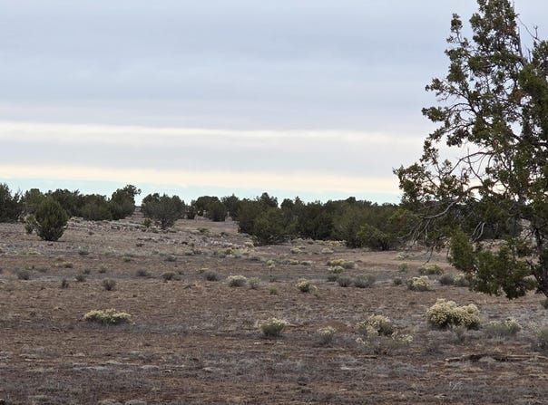 214 Juniper Woods, Ash Fork, AZ 86320