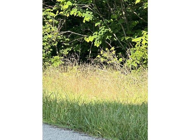 9999 Hwy 2004, McKee, KY 40447