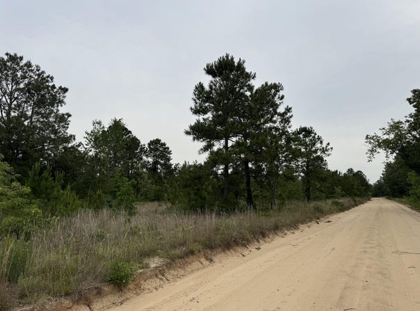 1.25a Baughmanville Road, Wagener, SC 29164