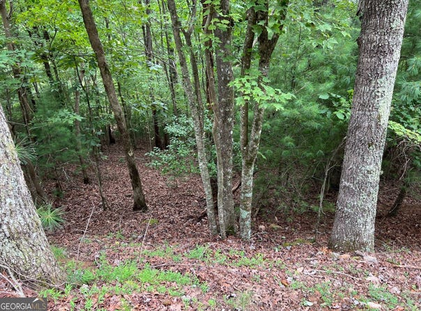 167 Tara, Ellijay, GA 30540