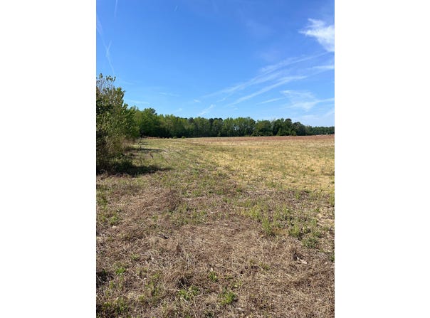 Mta 1 Judson Road, Dillon, SC 29536