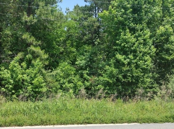 00 Lot1 Meagen Lane, Manning, SC 29102