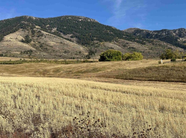 EAGLE VIEW DRIVE lot: 29, Inkom, ID 83245
