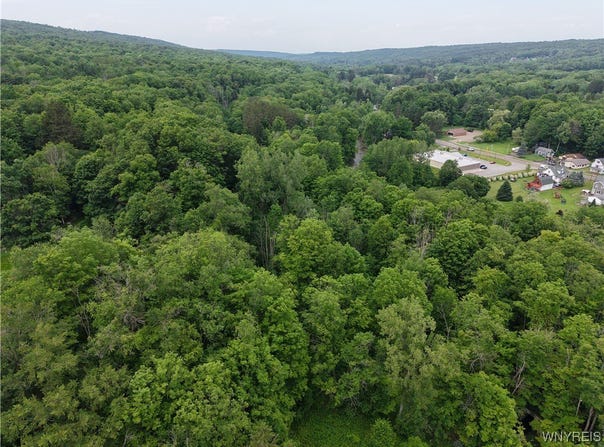 8762 Lower East Hill Road, Colden, NY 14033