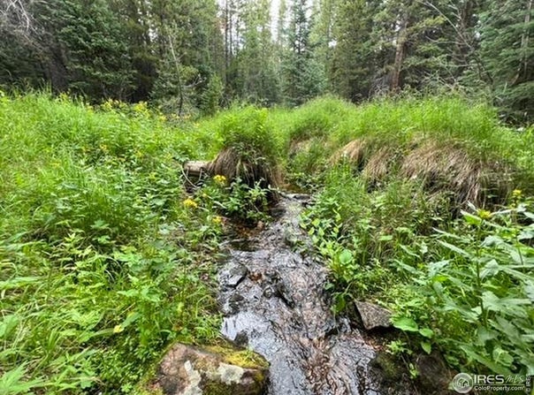 11 Pearl Creek Rd, Red Feather Lakes, CO 80545