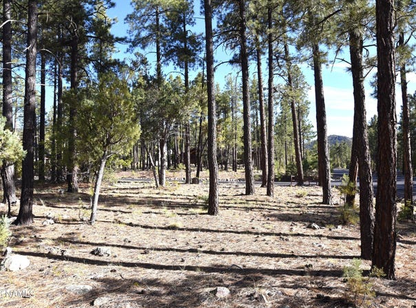 1085 Timbernook, Williams, AZ 86046