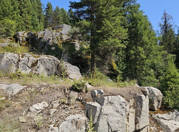 279X DEEP LAKE BOUNDARY RD, NORTHPORT, WA 99157