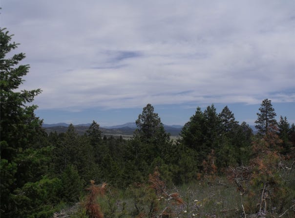 Hidden Springs Drive, Helena, MT 59602