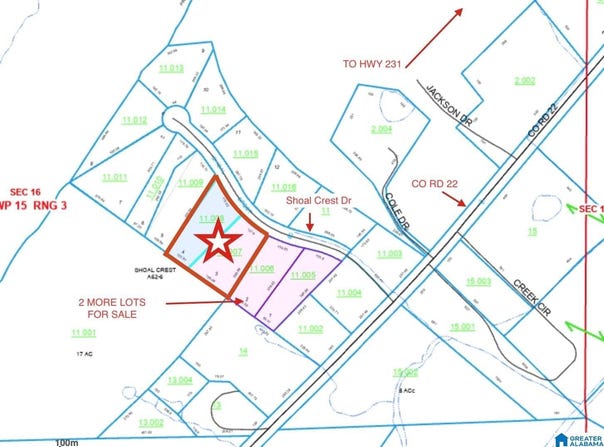 000 SHOAL CREST DRIVE, ASHVILLE, AL 35953