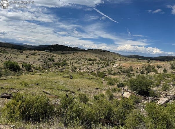 701 Shannon Trail, Cotopaxi, CO 81223