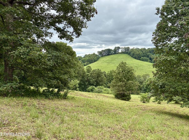 378 Johnson Hollow Rd, Sharps Chapel, TN 37866