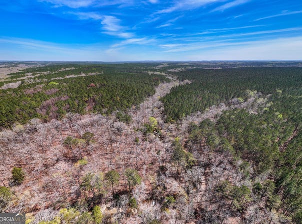 0 Shake Rag, Pine Mountain, GA 31822