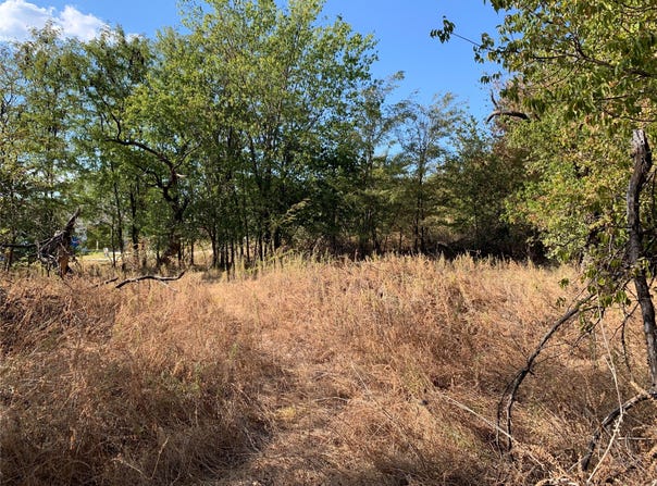 105 Bridlewood Lane, Bridgeport, TX 76426