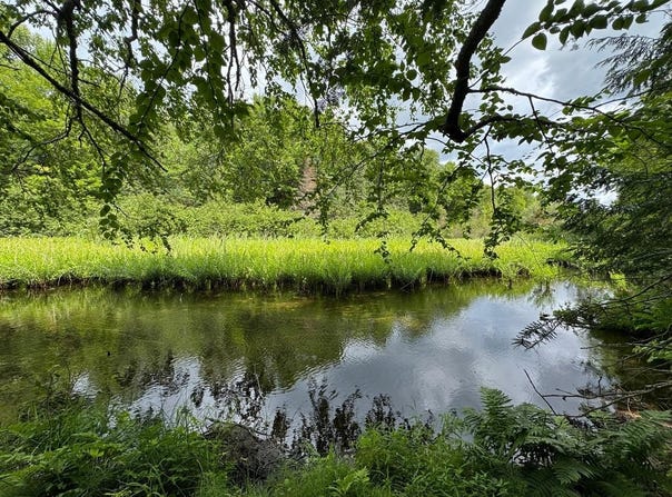 1csm666 MERCER LAKE CR S, Mercer, WI 54547