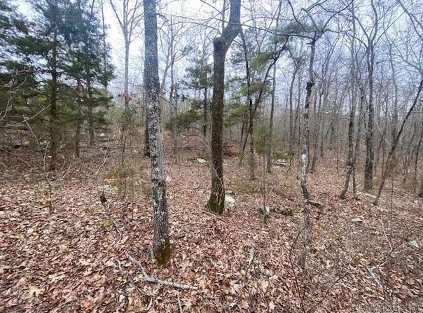 Lot 76 Mustang Drive, Clinton, AR 72031