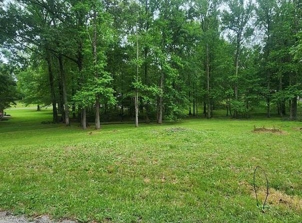 Poplar Cove, HUNTINGDON, TN 38344
