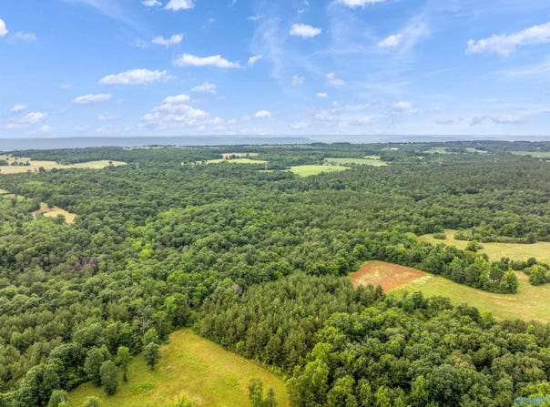 49.50 acres County Road 605, Section, AL 35771