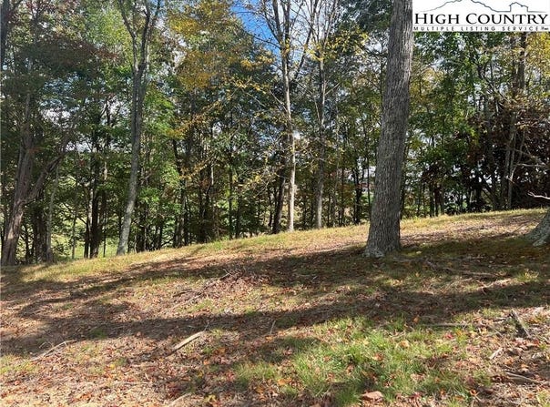 Busic Ridge #6, Sparta, NC 28675
