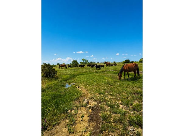 Private Rd, Hamilton, TX 76531