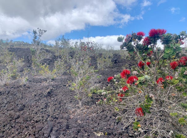 LEHUA LN, Ocean View, HI 96737