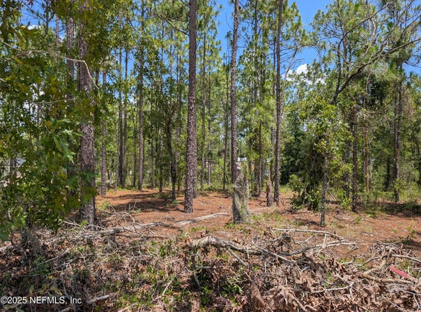 6218 EMORY Avenue, Keystone Heights, FL 32656