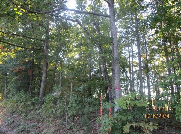 626 Rubermont, Victoria, VA 23974