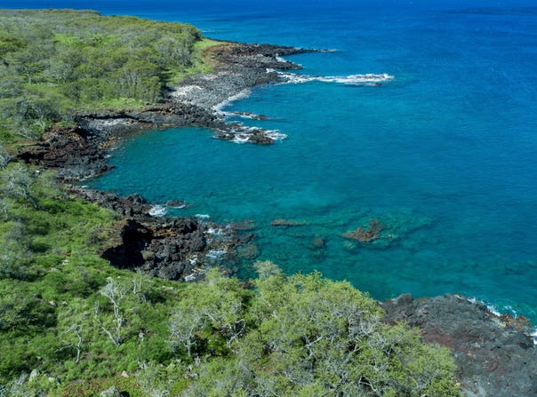 56-101 PUALANI RD, Hawi, HI 96719