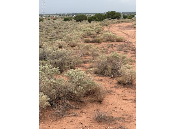 3264 S Coolidge Road, Williams, AZ 86046