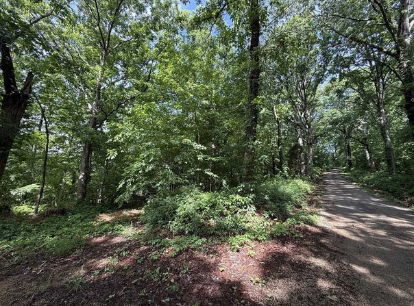 2.62 AC S Pitcher Road, Morgantown, KY 42261