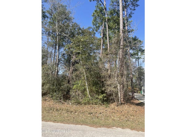 Lot 15 Op La Way, Diamondhead, MS 39525