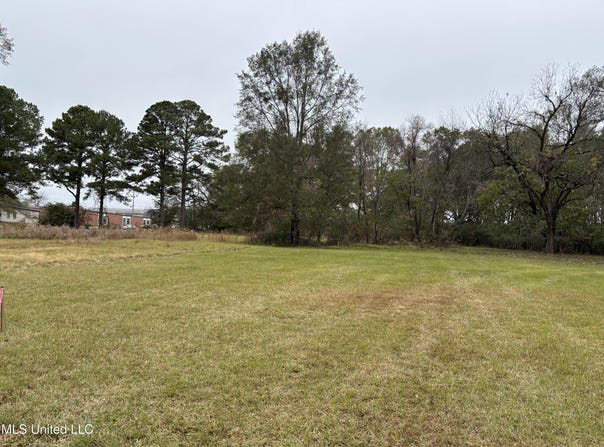 Harris Lane, Madison, MS 39110