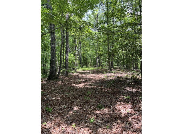 Sipsey Trl, Greenwood Springs, MS 38848