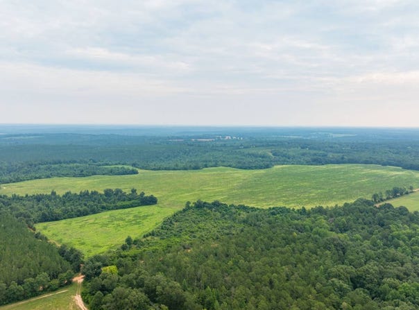 0 County Road 90, Lumpkin, GA 31815