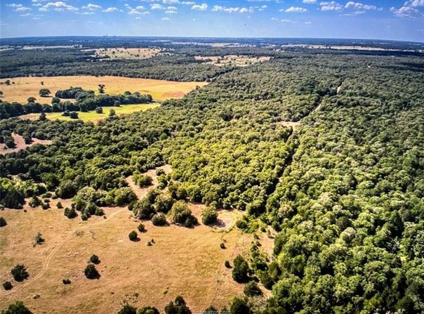 Tbd County Road 411 Road, Lexington, TX 78947