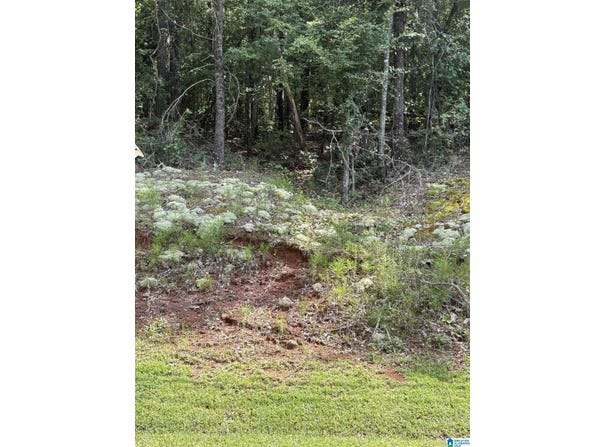 2242 WESTWOOD DRIVE, ALEXANDRIA, AL 36250