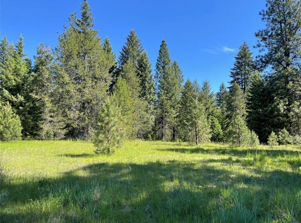 NHN S Shore Drive, Trout Creek, MT 59874
