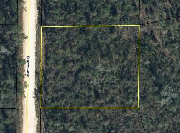 EDISON AVENUE, ALFORD, FL 32420