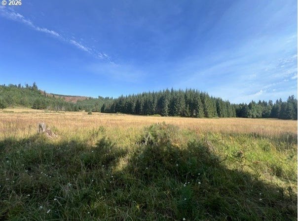 Timber Rd, Vernonia, OR 97064