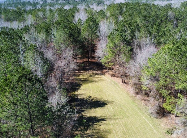 0 Graham Rd., Samantha, AL 35475