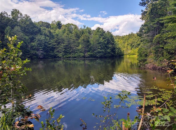 736 English Heifer Cove Road, Flat Rock, NC 28731