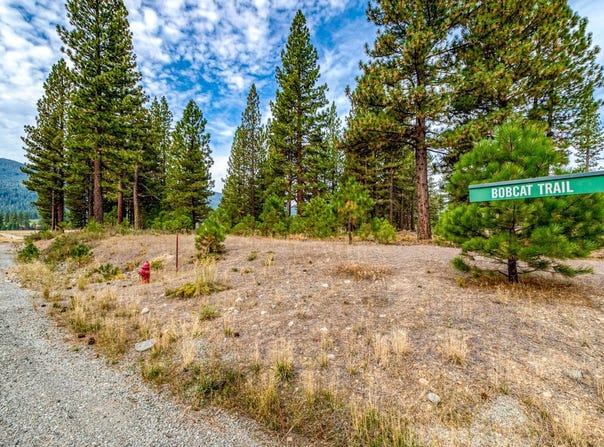 503 Redtail Loop, Clio, CA 96106