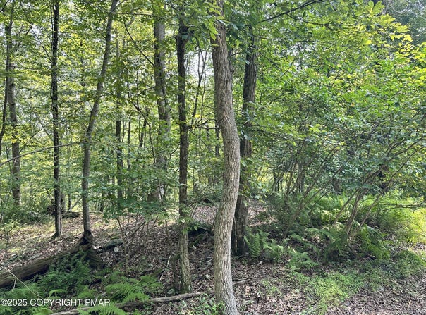 St Moritz Ct 3F, Henryville, PA 18332