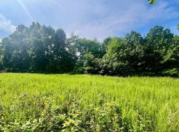 0 Forest Ridge Dr, Cambridge, OH 43725