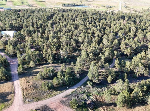 31 Whitetail Dr, Pine Haven, WY 82721