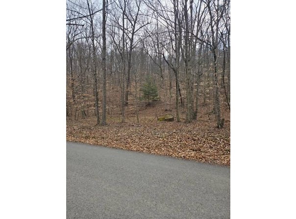 2185 Little Sand Run Road, Buckhannon, WV 26201