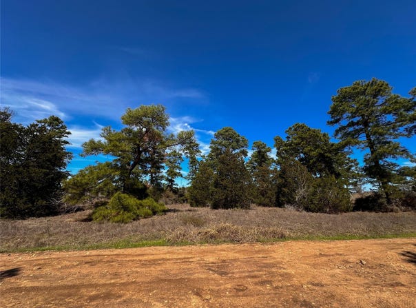 Lot 3 Winding Pine DR, Bastrop, TX 78602