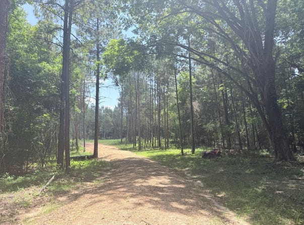 468 Smith County Road 150-a, Morton, MS 39117