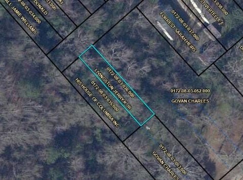 Tbd Winslow St Street SE, Orangeburg, SC 29115